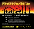 Пал сухой травы